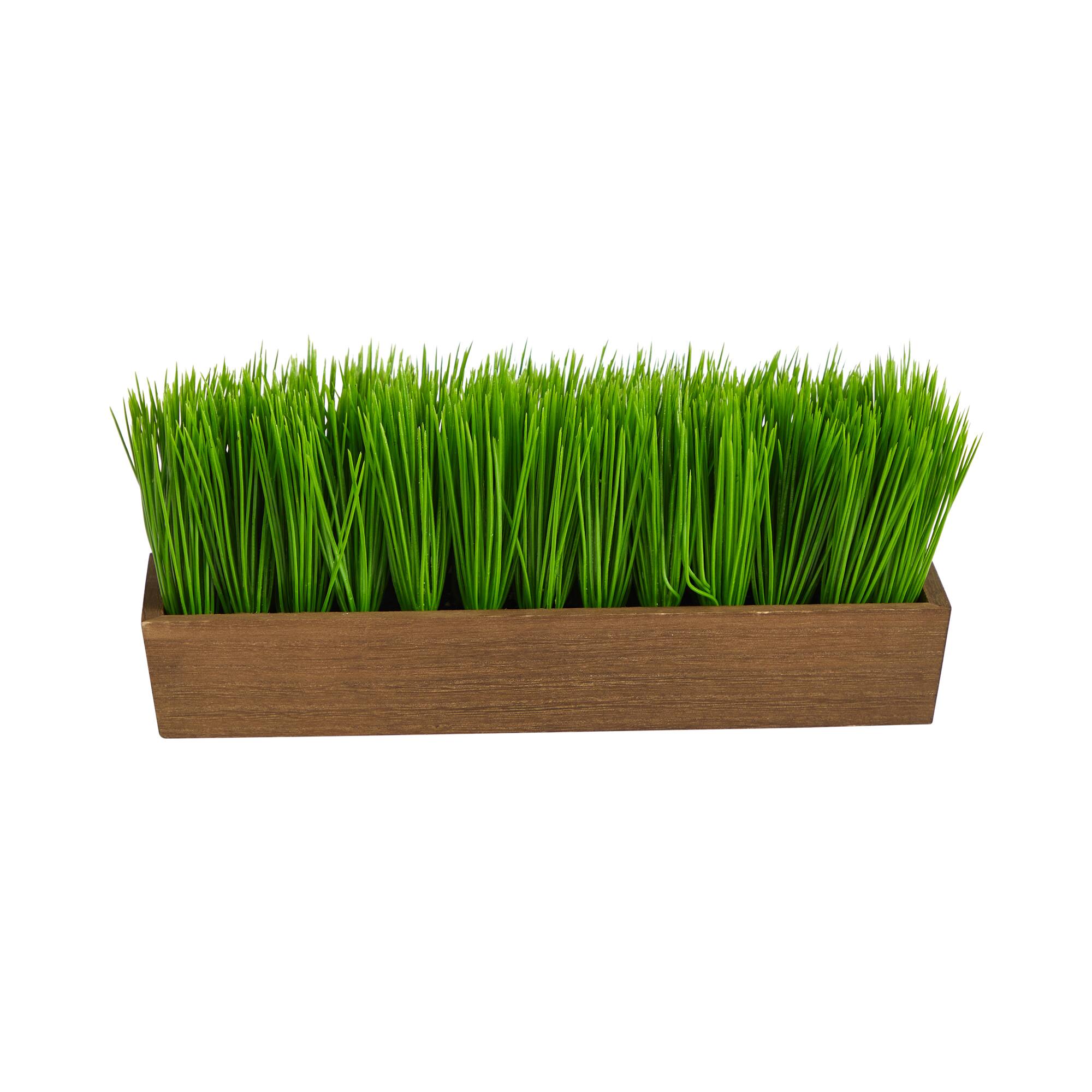 5" Grass Plant in Decorative Planter
